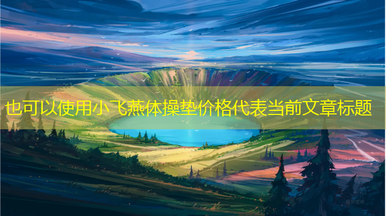 小飞燕体操垫价格