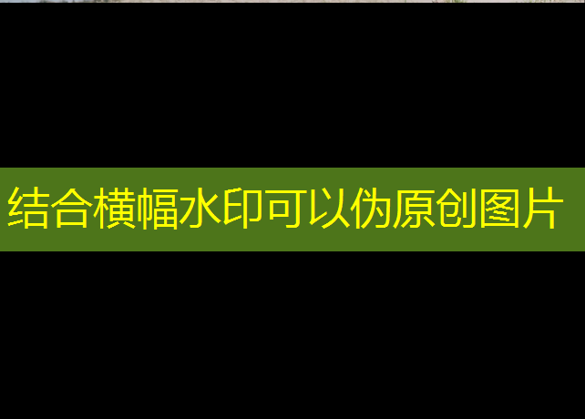 嵊州塑胶跑道工程价格
