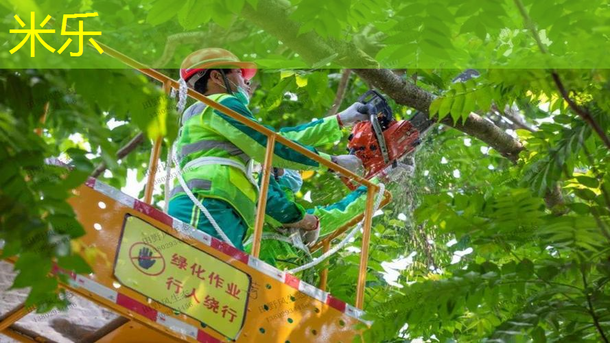 米乐：新手用98和100网球拍