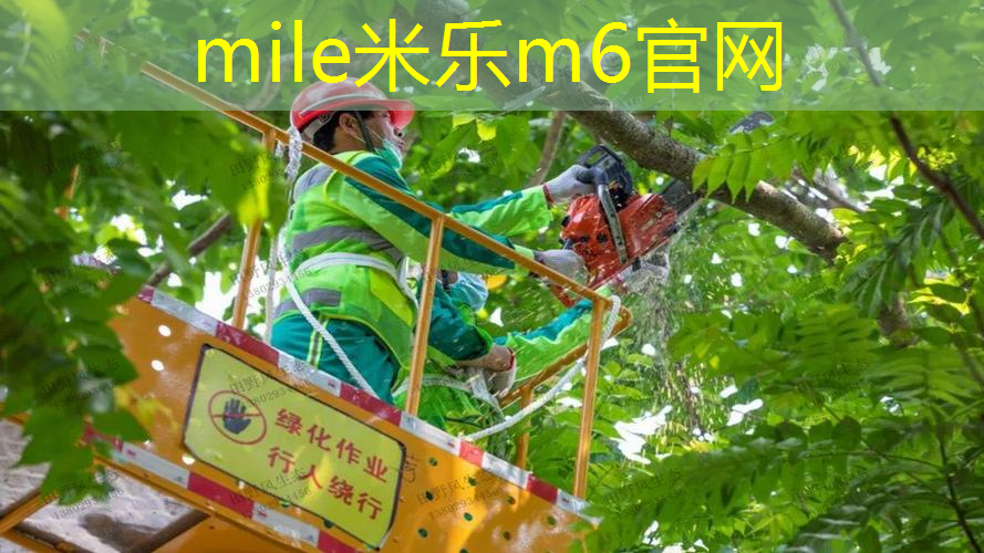 mile·米乐m6：网球拍操中班教案设计意图