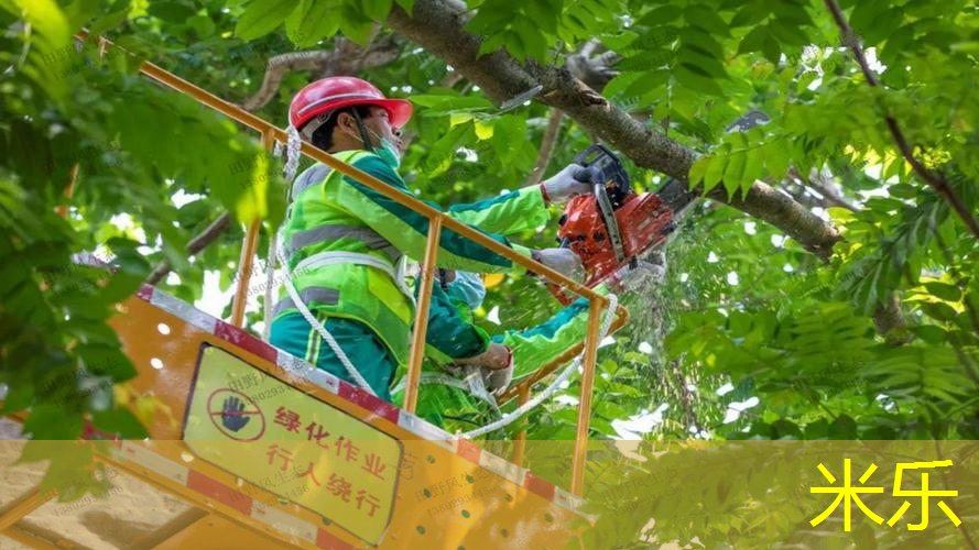 米乐m6官网：网球拍磕掉漆怎么补