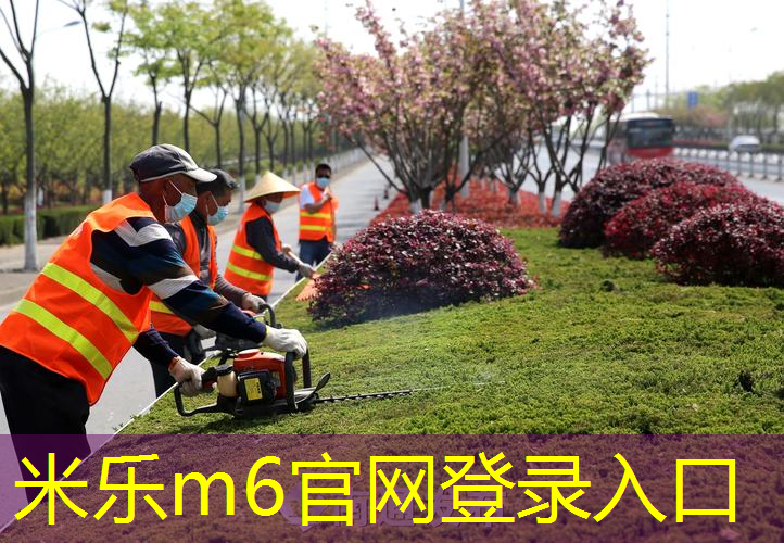 网球拍单人多少米够用啊