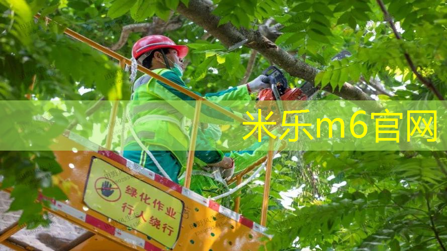 mile米乐m6官网：正手挥网球拍分为几个步骤