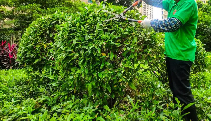 mile·米乐m6：网球拍脱线修补方法有哪些
