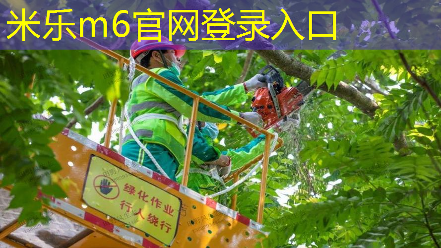 网球拍能不能刮风打胶