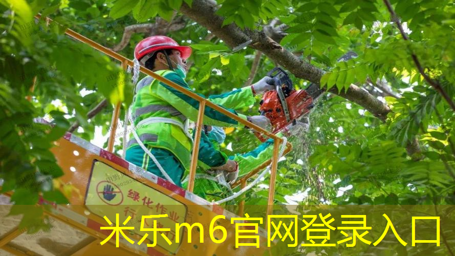 mile米乐m6官网：运动场馆是否对学生的体育锻炼产生积极影响？