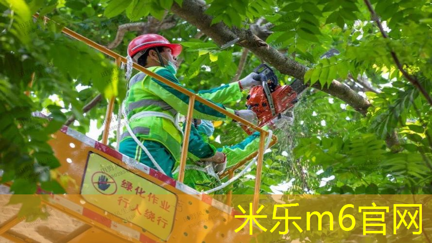 室内健身弹力器械