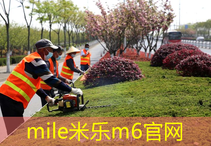 米乐m6官网登录入口：乒乓球台面是多少米的高度