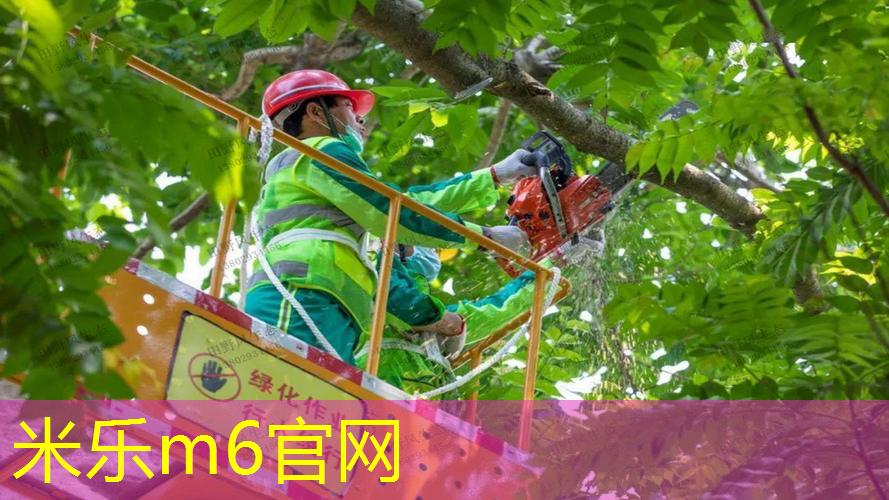 mile米乐m6官网：探索室外健身器材的魅力，释放健康能量！