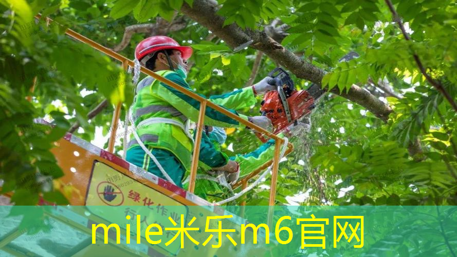 儿童室内健身棒有用吗