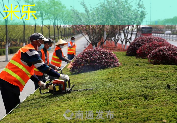 全家欢乐互动时间！蜜蜂儿童滑梯助力亲子关系升温
