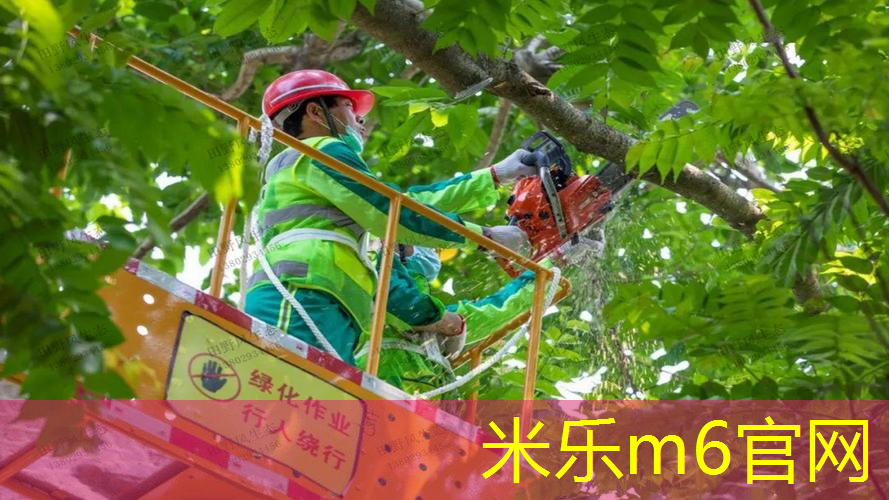 新手用98和100网球拍
