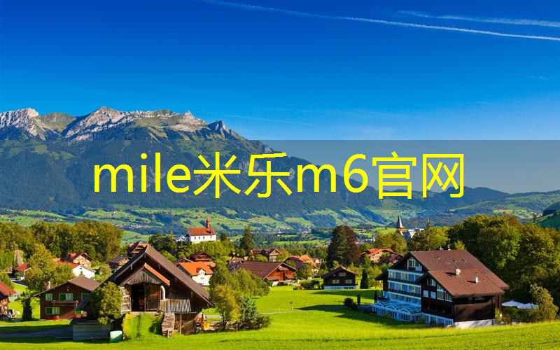 网球拍质检参数表格图