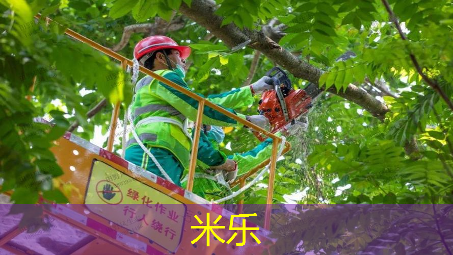 网球拍操中班教案设计意图