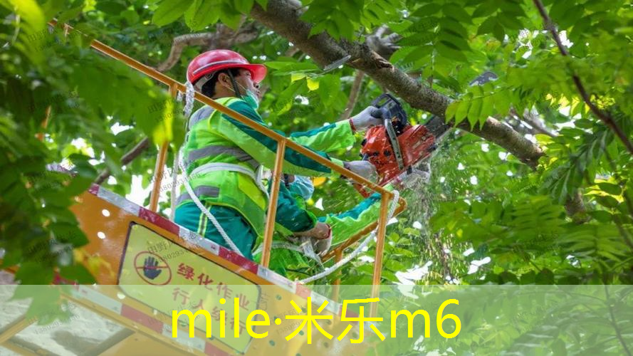 网球拍穿完线如何把线排齐