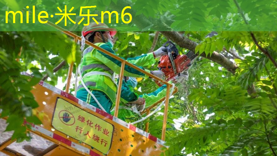 网球拍磕掉漆怎么补