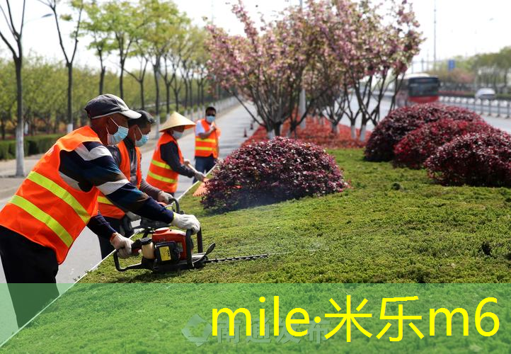 网球拍单人多少米够用啊