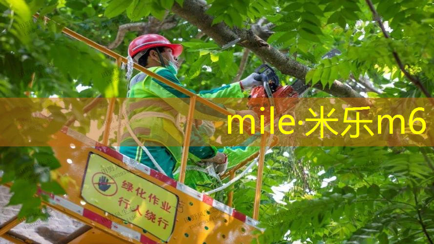 正手挥网球拍分为几个步骤