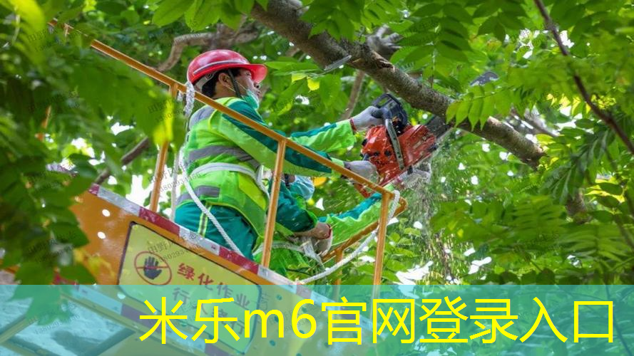 怎样选健身网球拍子呢