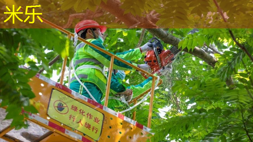 塑料奔驰般自由！彩色胶跑道点亮城市魅力