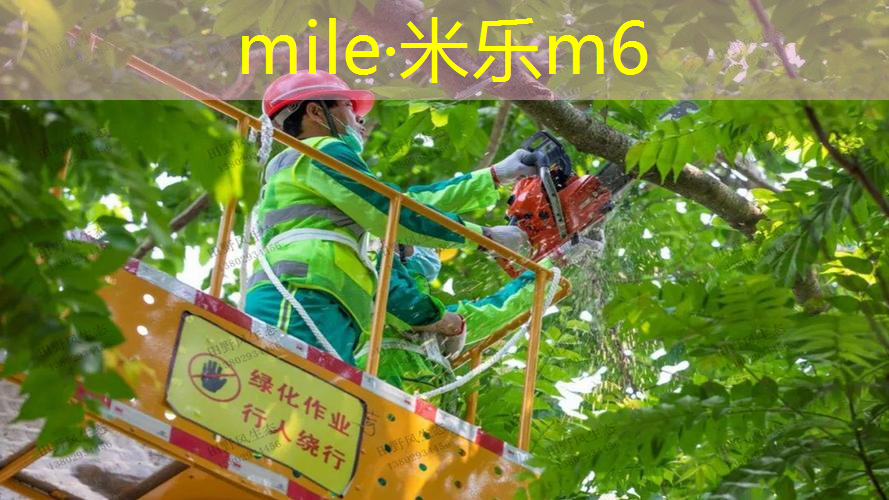 运动场馆是否对学生的体育锻炼产生积极影响？