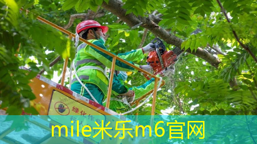 田径项目需要哪些器材 田径项目需要哪些器材